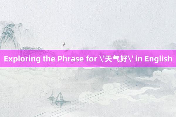 Exploring the Phrase for '天气好' in English